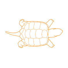 Animals Turtles Common Snapping Turtle Outline Svg Vector, Free Vectors File